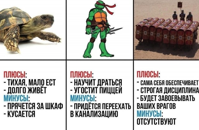 Всяческие картинки