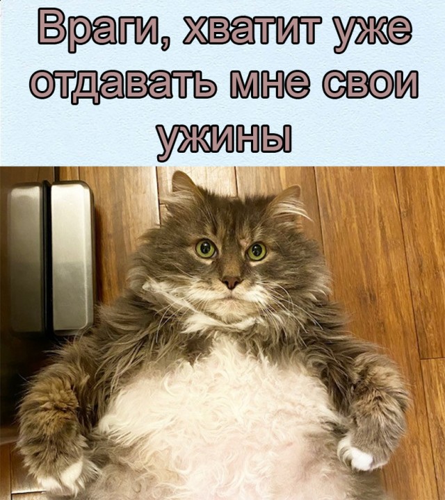 Картинки и мемы для настроения 09.08.2021
