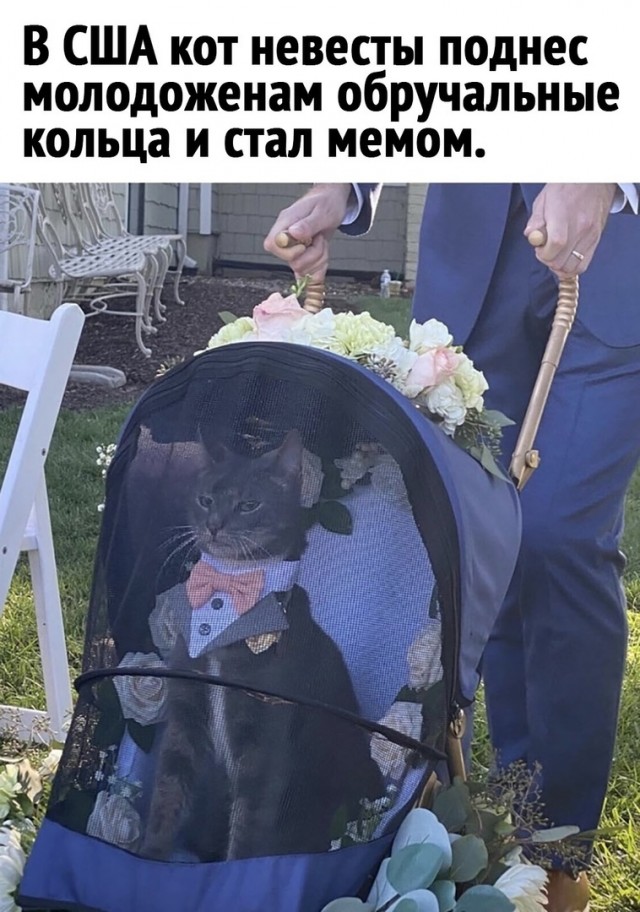 Чуток картинок 15.09.21