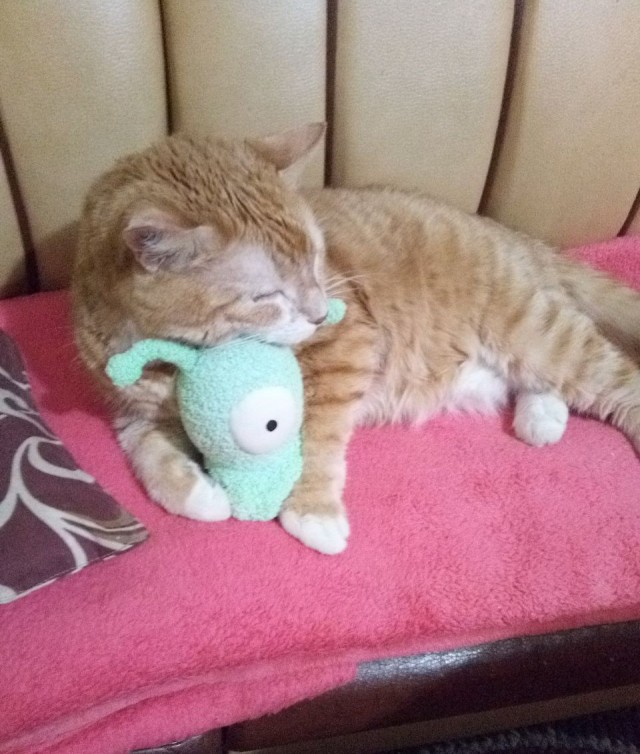 Кот который прожил жизнь