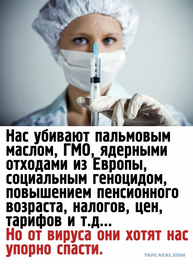 Посол России в Кабо-Верде Наталья Поклонская считает, что повсеместное введение QR-кодов нарушает Конституцию РФ.
