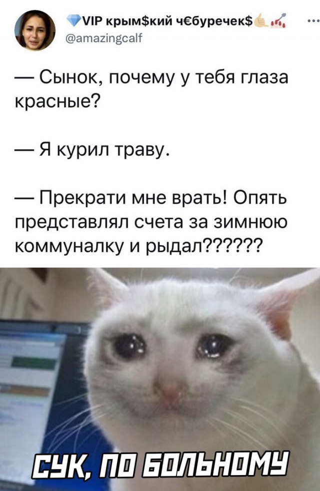 Картинки и мемы для настроения 02.02.2022