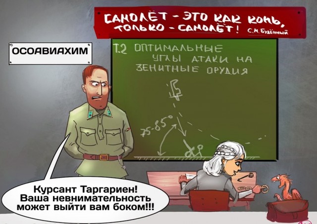 Кабачки по цене говядины