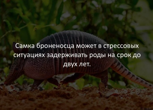 70 удивительных фактов