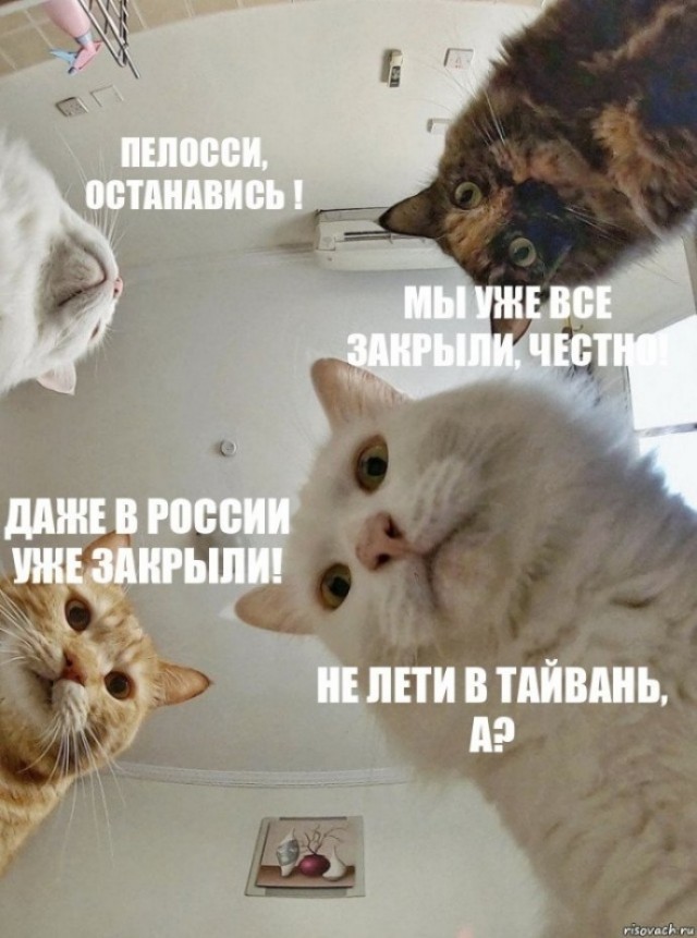 Пандемия съехавших крыш - разновидности болезни. Россия и мир. Часть 39.