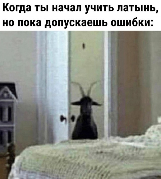 Отвлечься от дичи в жизни. Дичь в картинках - 2