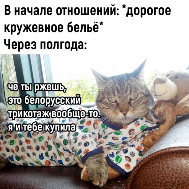 Весёлый полтишок 27.07.23