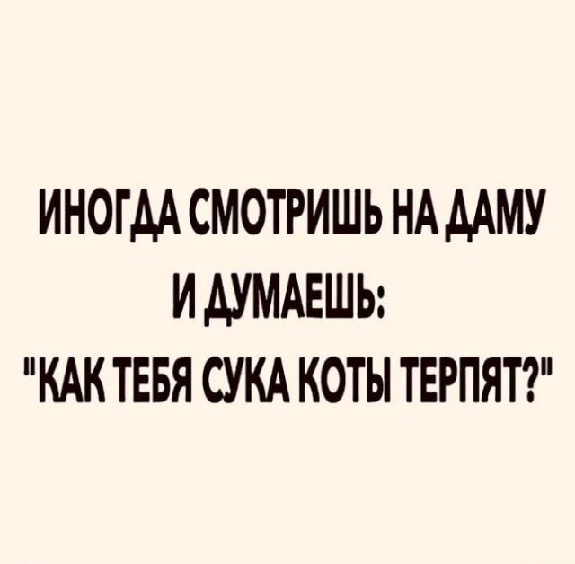 Нуштош 20.09.2023