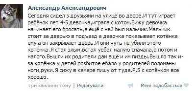 Главное, с котенком все в порядке