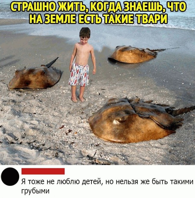 20 картинок