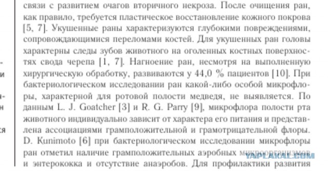 Пострадавшие от нападения медведя живы