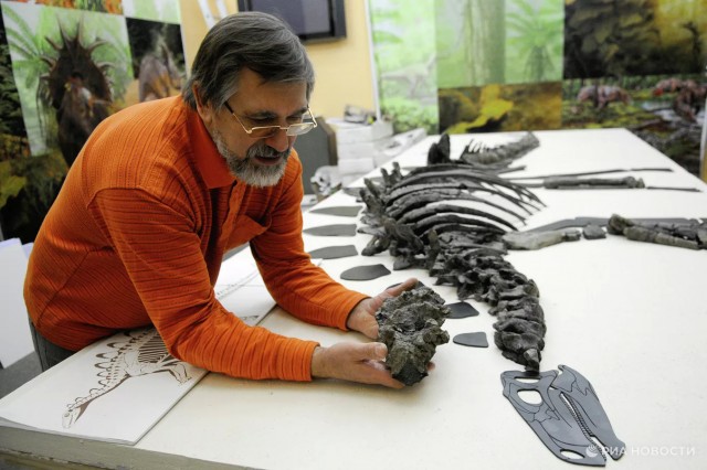 Российские ученые открыли новый вид динозавров на Кузбассе