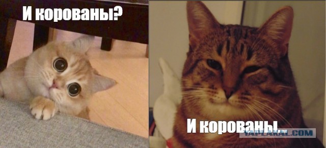 Искупление Дага Бакхорна