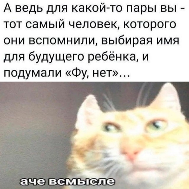 Весёлый полтишок 19.12.24