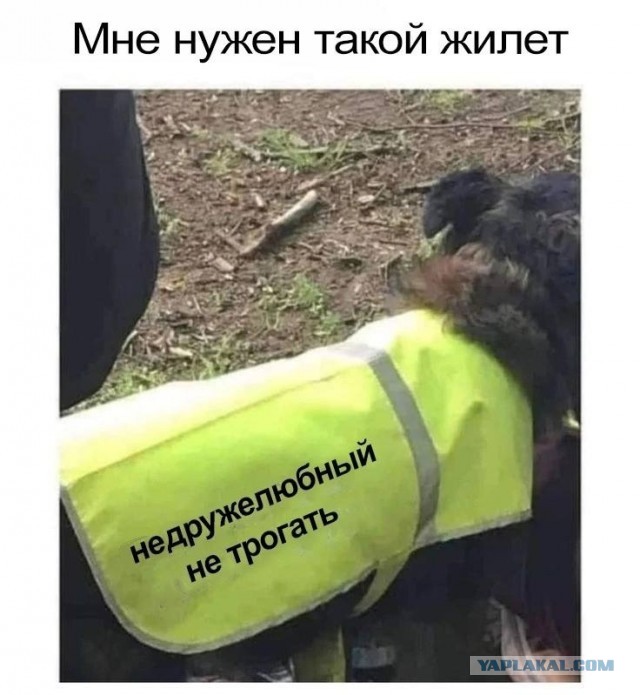 Так себе картинки 11.01.25