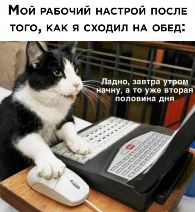 Веселые картинки в пятницу (28.03)