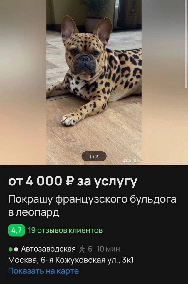 Нуштош 23.04.2025. По эту сторону зеркала (s3e11)