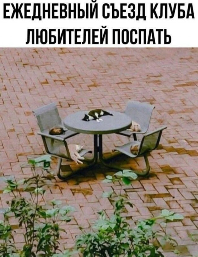 Маленькая пятница 11.06