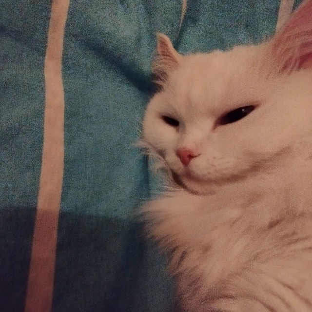 Заряд позитива: взгляните на 25 самых забавных снимков