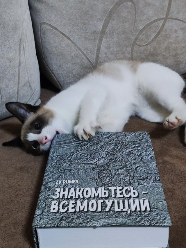 Книга ПОВЕСТИ