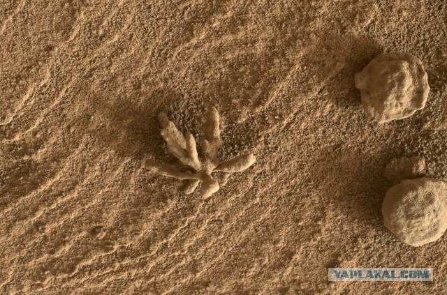 Тринадцать лет на Марсе: NASA представило подборку самых знаковых снимков марсохода Curiosity
