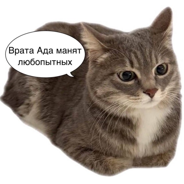 Субботние картинки
