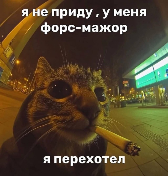 Маленькая пятница 24.12
