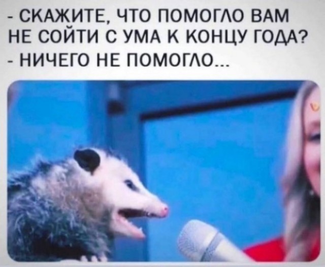 Ты чего избу не строишь?