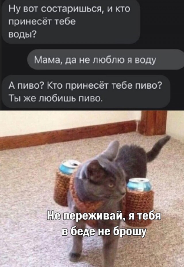 Так себе картинки 25.01.26