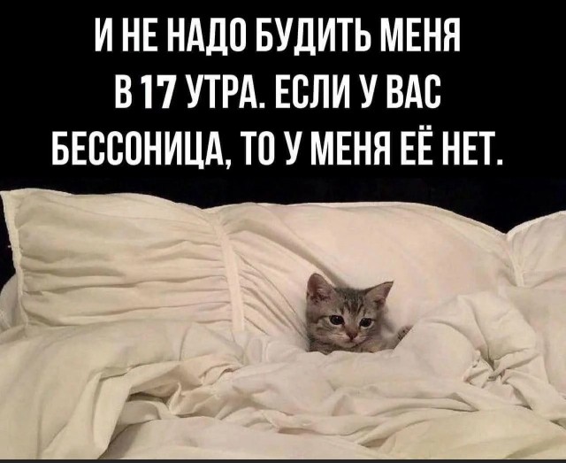 Подборка картинок-баянов с котиками и про котиков. Выпуск 29.