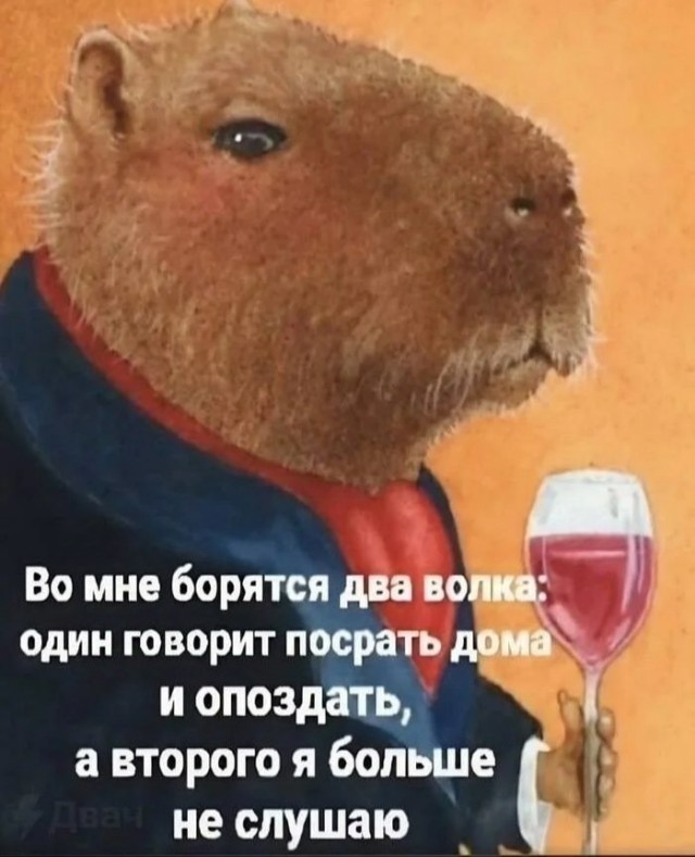 Картинки для деградации 172 (разной степени свежести)