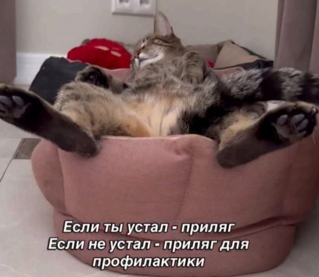 Воскресные картинки
