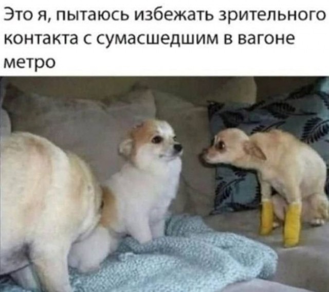 Картинки для деградации 189 (разной степени свежести)