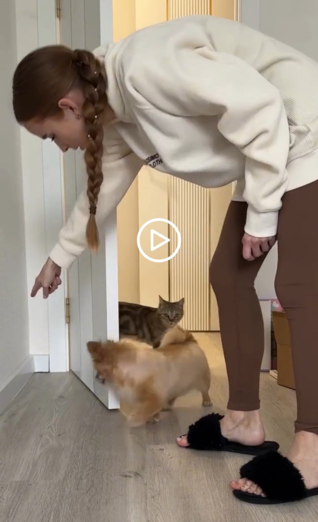 Ну где же ты?