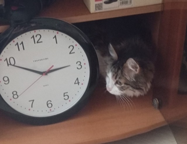 Часы с котошкой