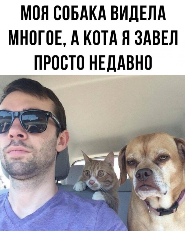 Картинки для деградации 248 (разной степени свежести)