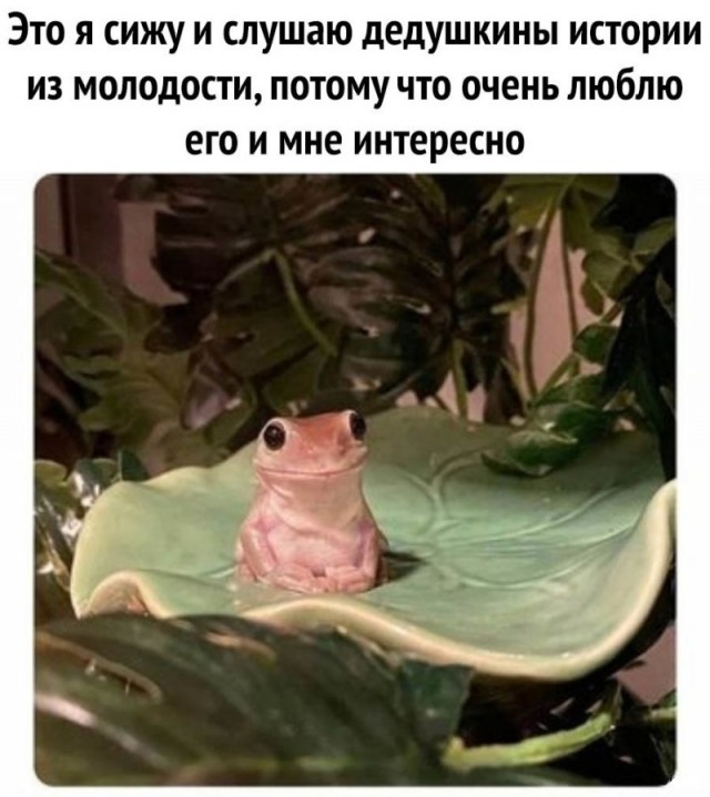 тРРРидцать тРРРи от 13 августа