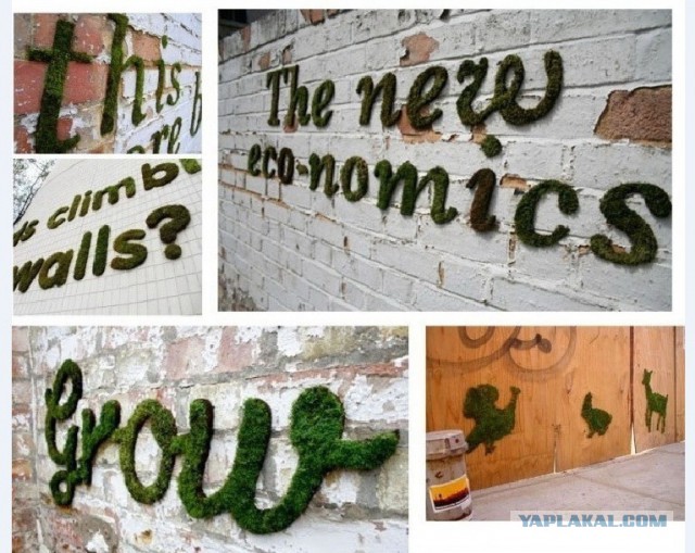 Рукожопство коврика для ванной из мха