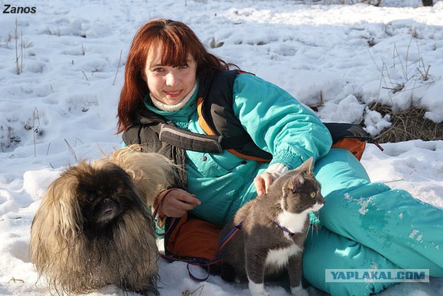 Кошка по имени Мышь