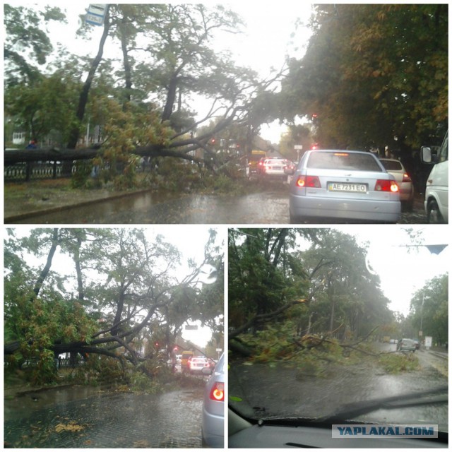 Ночной ураган в Днепропетровске, 24.09.2014.