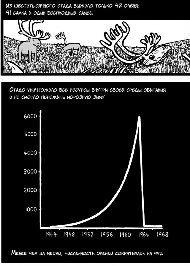 Поучительная история на примере оленей