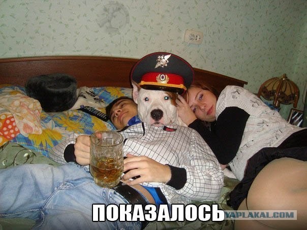 Показалось