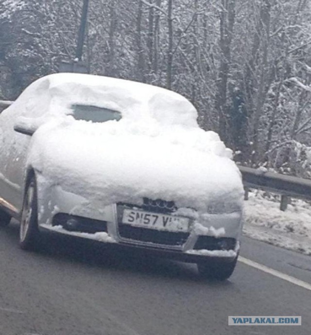 Вечерняя прогулка с дочкой и собакой