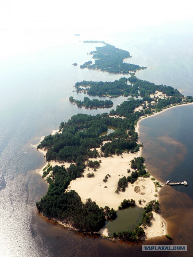 Я узнал, что у меня есть огромная семья