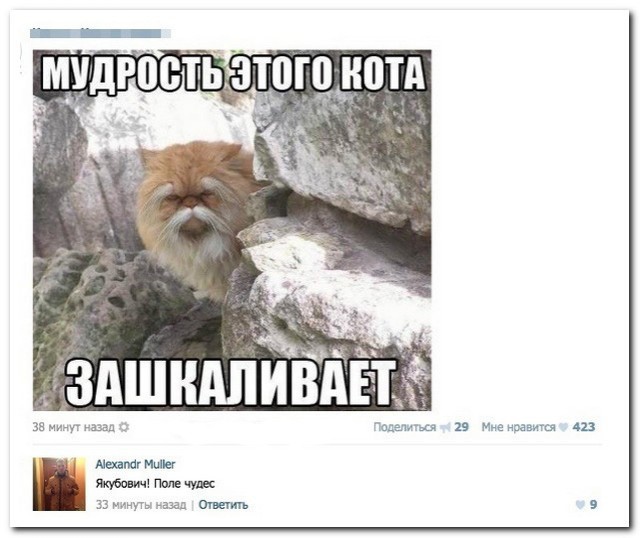 Ужасы и приколы из соцсетей 18+