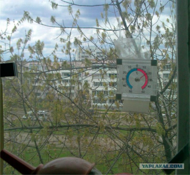 А что у вас за окном?