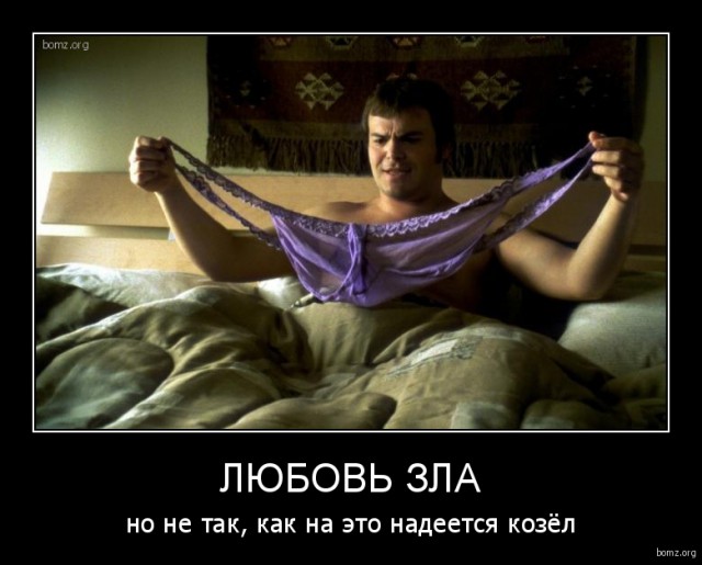 Картинки для поднятия настроения - 4