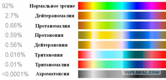 Два брата дальтоника впервые видят цвета