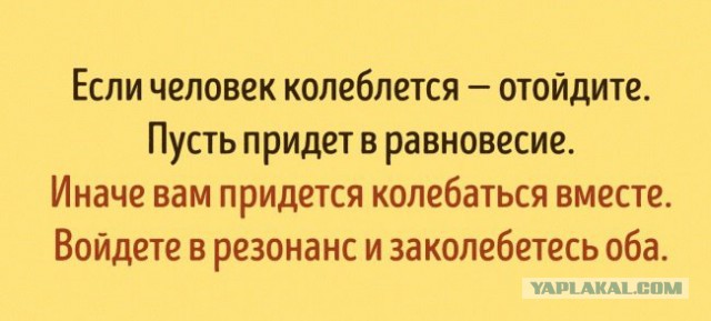 Стадное чувство или просто физика