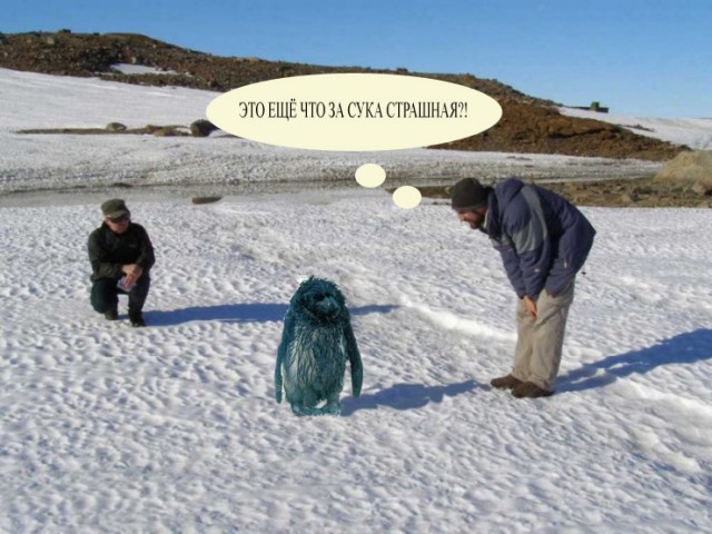 Фотожаба: Полярники окружают!